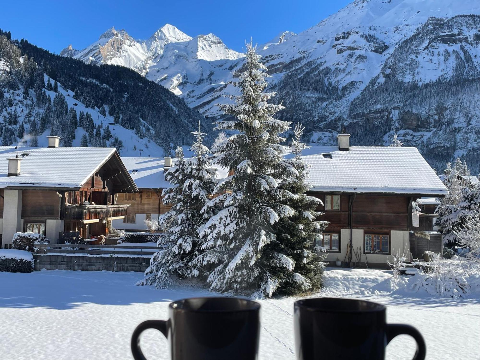 Swiss Alps Lodge Kandersteg Extérieur photo