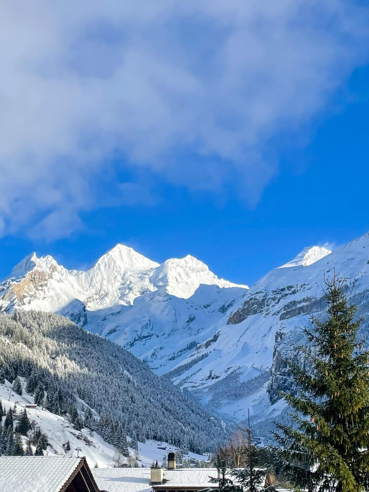 Swiss Alps Lodge Kandersteg Extérieur photo