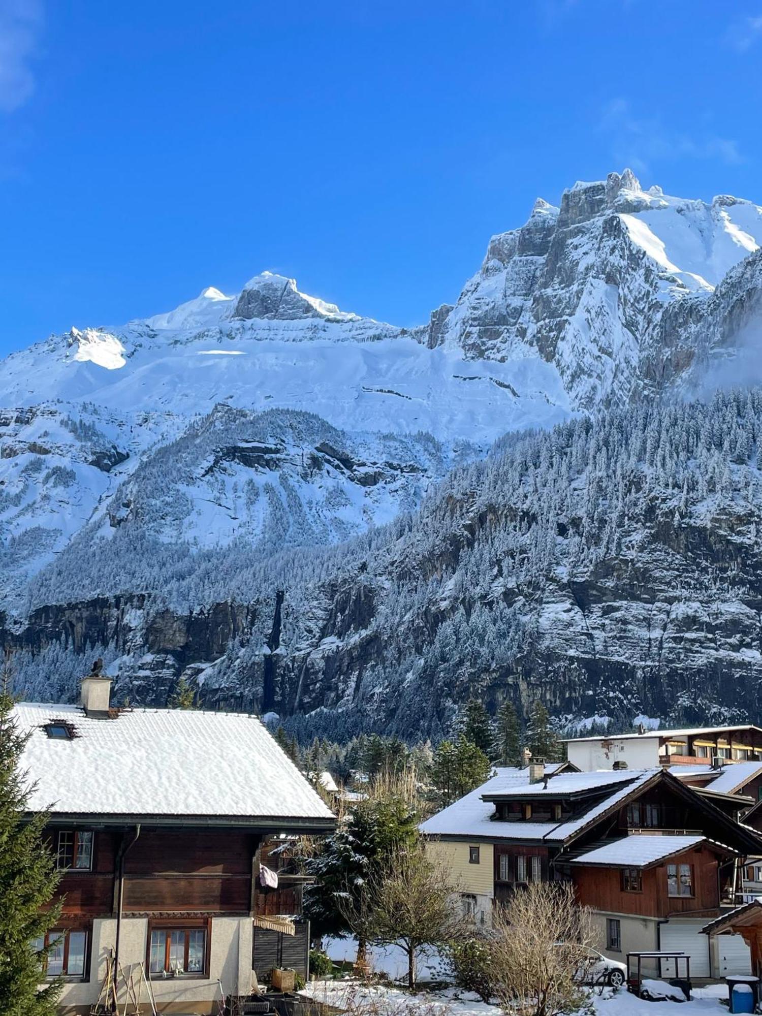 Swiss Alps Lodge Kandersteg Extérieur photo